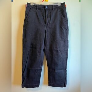 Everlane straight leg utility pants